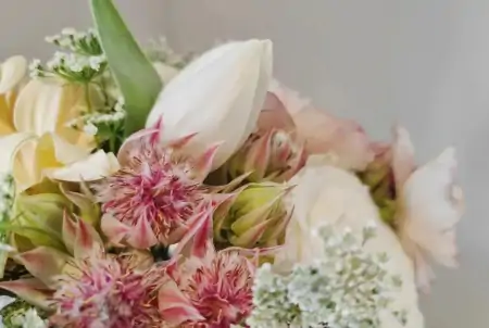 情人节送花,别只想到红玫瑰!(情人节送一朵玫瑰花合适吗?)