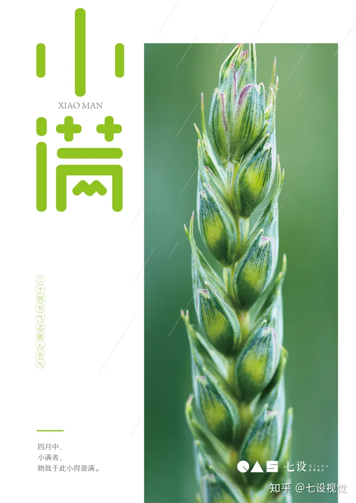 二十四节气-小满-二十四节气小满教案反思大班