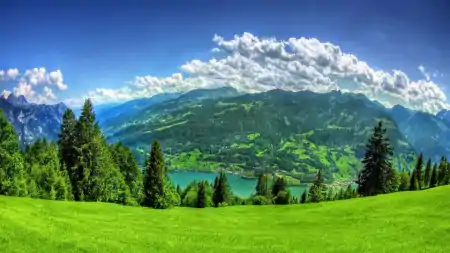 赶紧收藏2万张头像打包下载抽象卡通等网盘下载-头像库源码