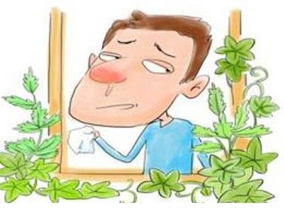 经久不愈的鼻窦炎怎么办?(经久不愈的鼻窦炎怎么办呢)