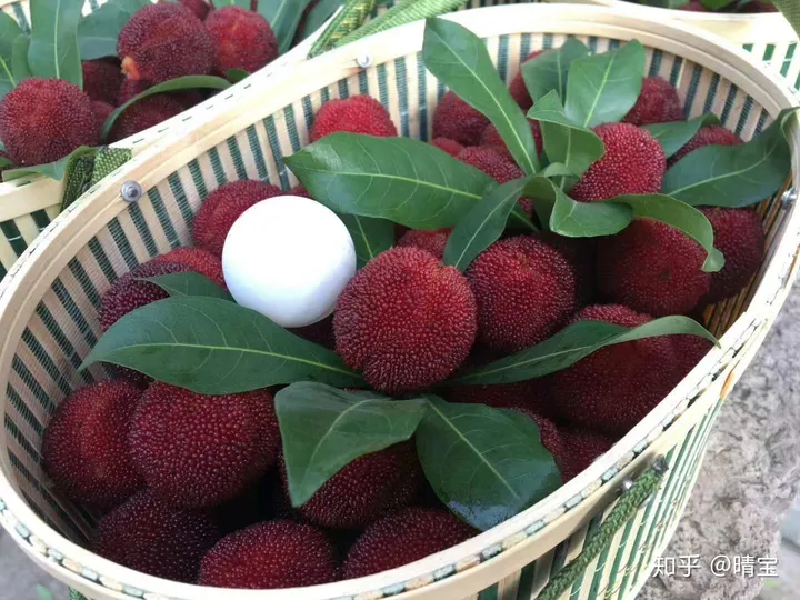 今天告诉大家杨梅是有什么功效(杨梅有什么功效啊)