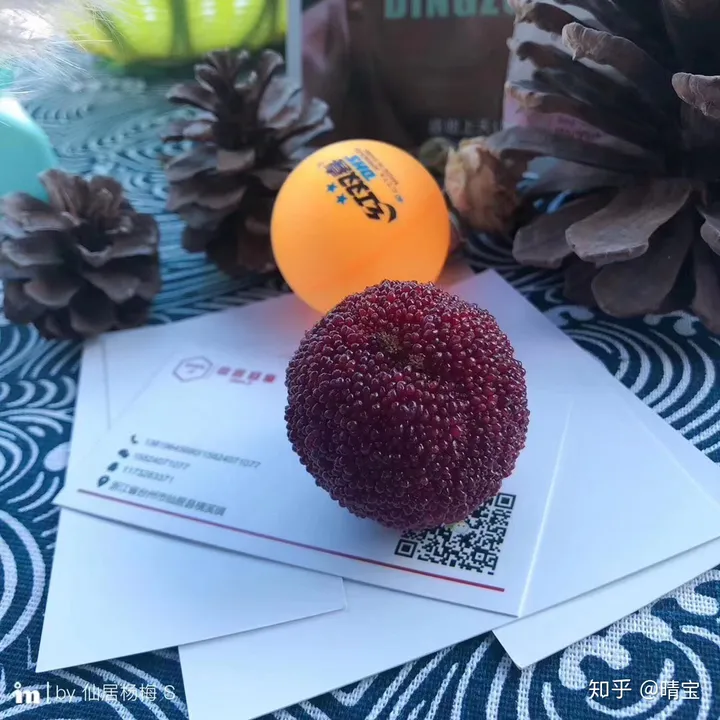 今天告诉大家杨梅是有什么功效(杨梅有什么功效啊)