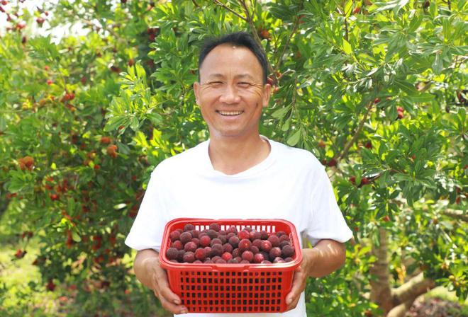夏日炎炎 “梅”好味道(夏日炎炎下一句词语有哪些)
