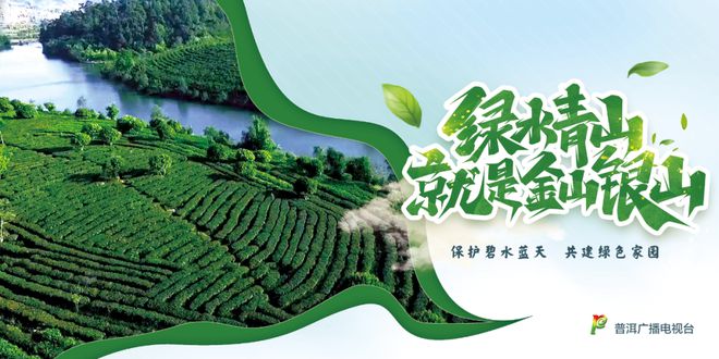 夏日炎炎 “梅”好味道(夏日炎炎下一句词语有哪些)