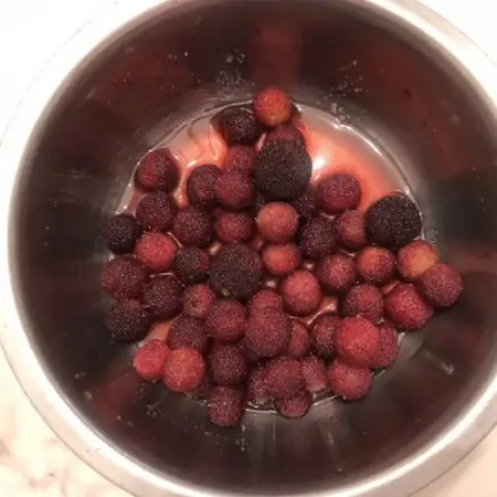 舌尖上的端午 超级好吃的杨梅果酱(杨梅酱的功效与作用)