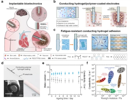 《AM》:坚固、生物相容和抗疲劳的导电水凝胶涂层(水凝胶电导率测试)