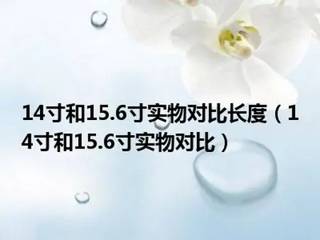 14寸和15.6寸实物对比长度(14寸和15.6寸实物对比)(14寸的和15.6寸的差多少)