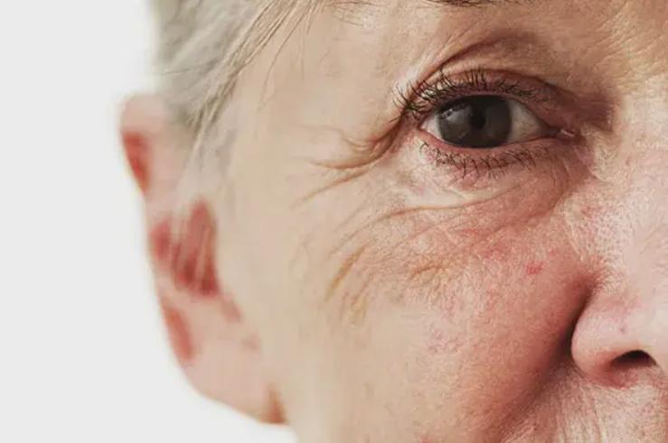 “自带”黄体酮的6种食物,雌激素丰富,建议女性常吃(黄体酮包含什么)