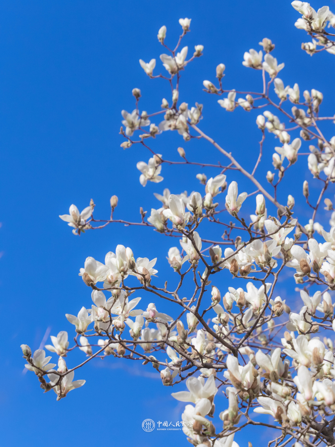 中水致远熔铸育人情怀,践行社会责任-中水属于国企还是央企