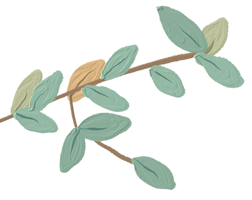 中水致远熔铸育人情怀,践行社会责任-中水属于国企还是央企