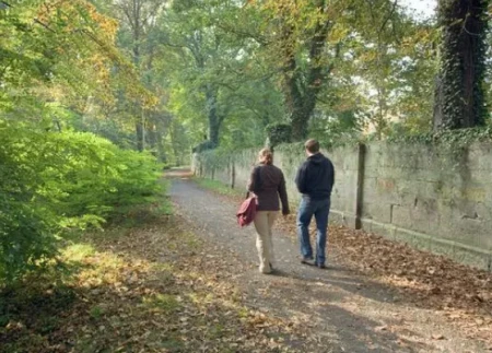 多散步对血管好?医生建议:50岁之后,坚持做这2件事或比运动好(散步对血压有好处吗)