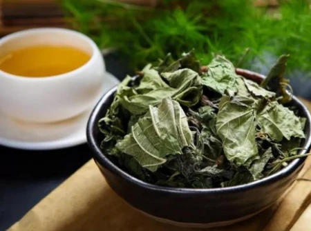 多散步对血管好?医生建议:50岁之后,坚持做这2件事或比运动好(散步对血压有好处吗)