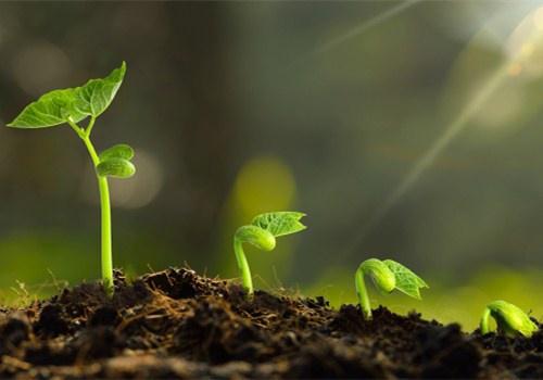 二十四节气的名称、由来、日期及含义(二十四节气的名称和意义图片简笔画)