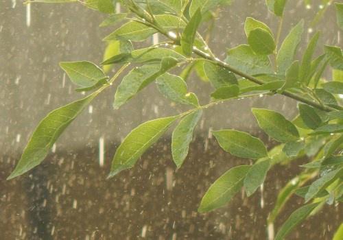 二十四节气的名称、由来、日期及含义(二十四节气的名称和意义图片简笔画)