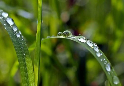 二十四节气的名称、由来、日期及含义(二十四节气的名称和意义图片简笔画)
