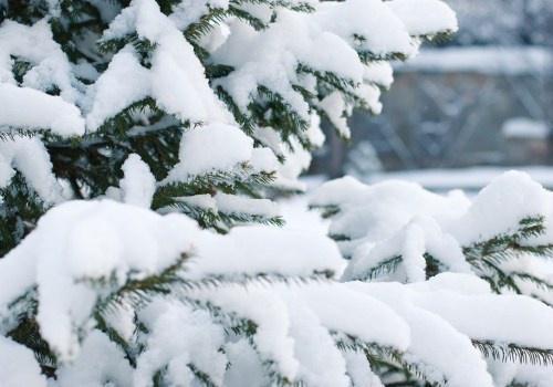 二十四节气的名称、由来、日期及含义(二十四节气的名称和意义图片简笔画)