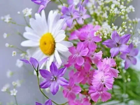 摩羯座有哪些弱点,容易给自己“招黑”?擅长克制,不轻易动情-摩羯座最害怕什么虫子