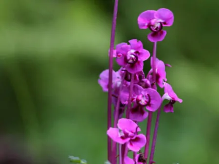 摩羯座有哪些弱点,容易给自己“招黑”?擅长克制,不轻易动情-摩羯座最害怕什么虫子