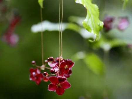 摩羯座有哪些弱点,容易给自己“招黑”?擅长克制,不轻易动情-摩羯座最害怕什么虫子