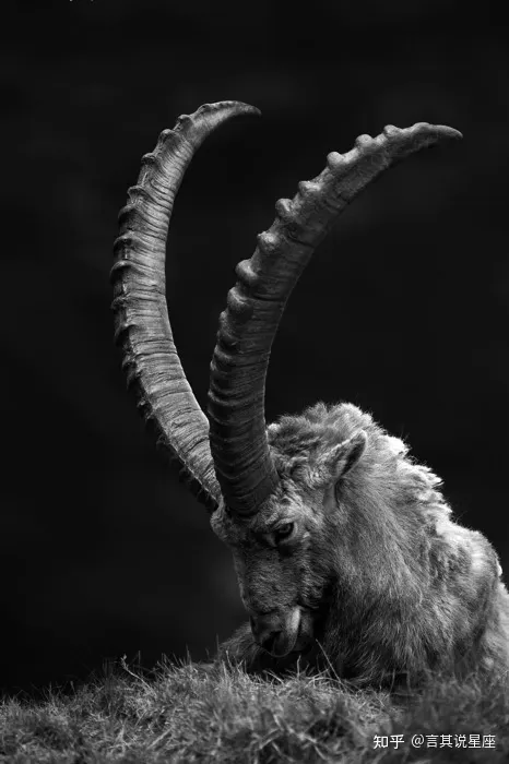 聊聊摩羯座,绝对的干货-解读摩羯座