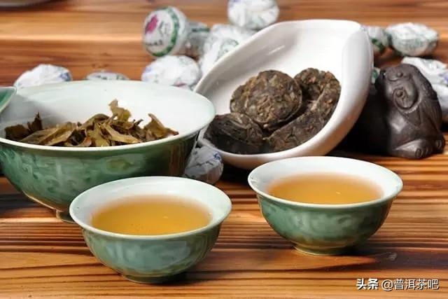 普洱生茶与熟茶之辨(普洱生茶和熟茶的区别是什么?弄懂这4点就够了......)
