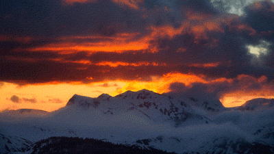 这种微信头像,连骗子都嫌弃……-微信头像很丑的人