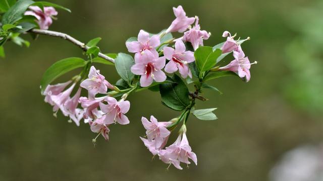 双子座的内心世界,你了解多少?-双子座的心思