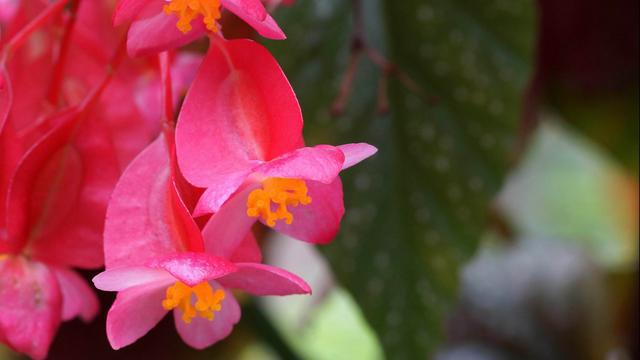 双子座的内心世界,你了解多少?-双子座的心思