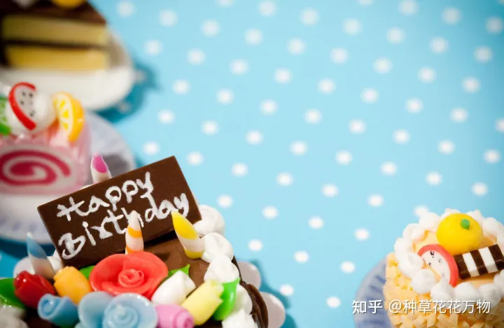 特别暖心的生日祝福语(精选70句)(一句暖心的生日祝福短语图片)