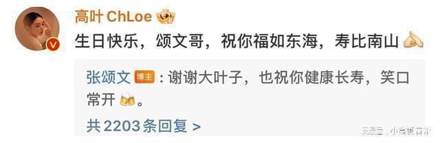 最硬气的生日祝福,张颂文生日,高叶送祝福引粉丝狂笑(张颂文经历)