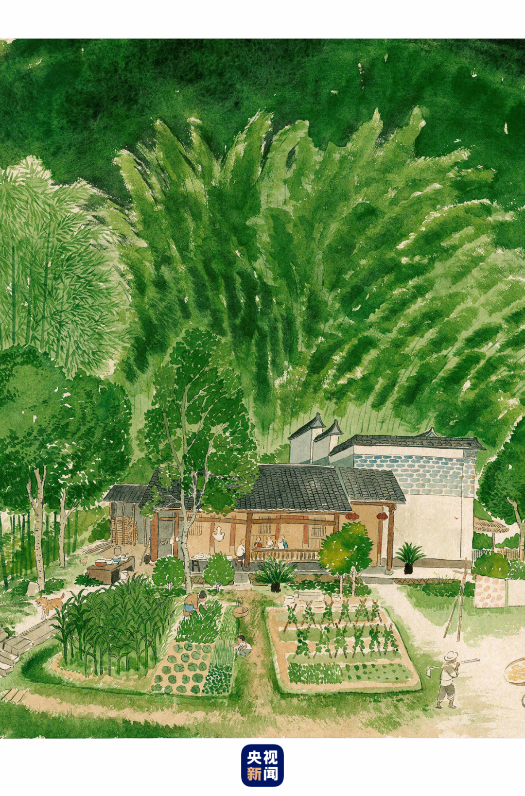 芒种丨这么忙,这么美(忙碌的芒种)