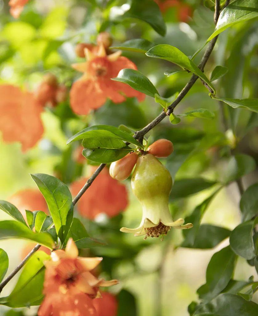 芒种丨这么忙,这么美(忙碌的芒种)