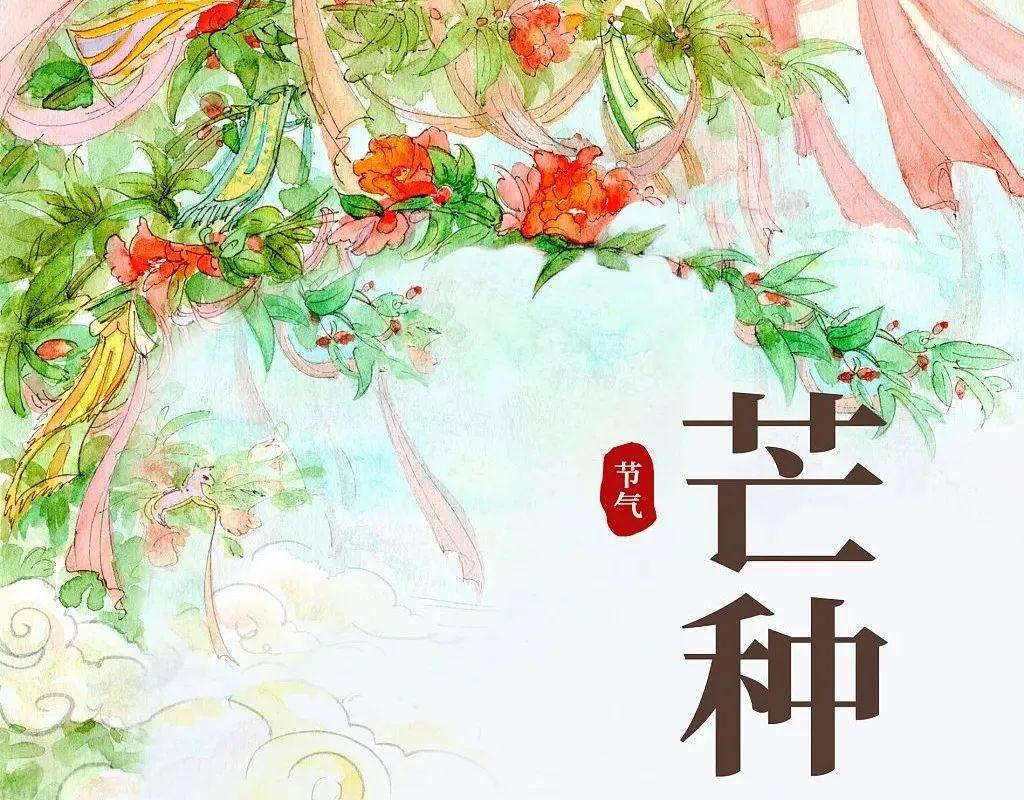 芒种丨这么忙,这么美(忙碌的芒种)
