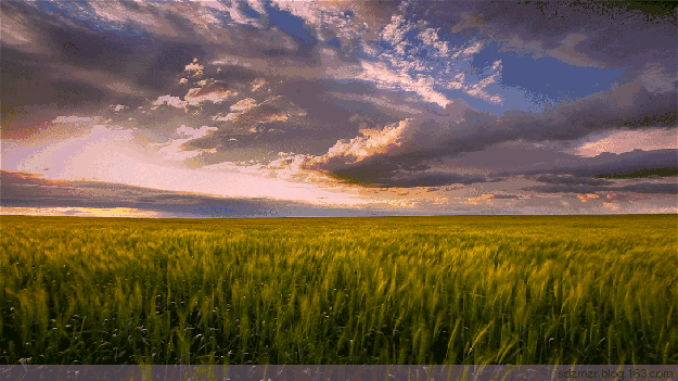 芒种丨愿你的忙,不慌不茫(愿你忙中有闲)