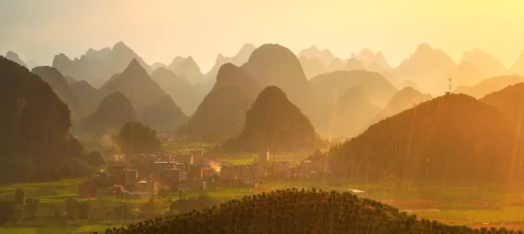 芒种丨愿你的忙,不慌不茫(愿你忙中有闲)