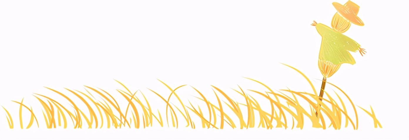 芒种丨愿你的忙,不慌不茫(愿你忙中有闲)