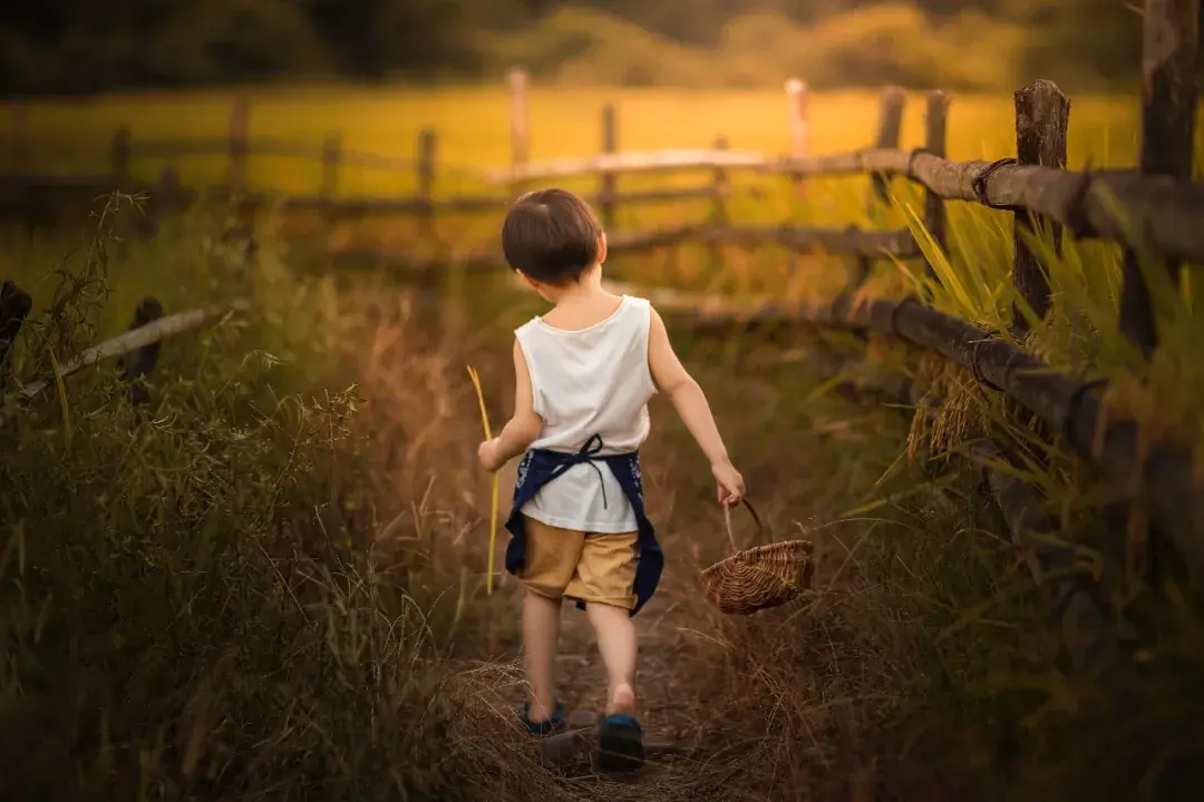 芒种丨愿你的忙,不慌不茫(愿你忙中有闲)