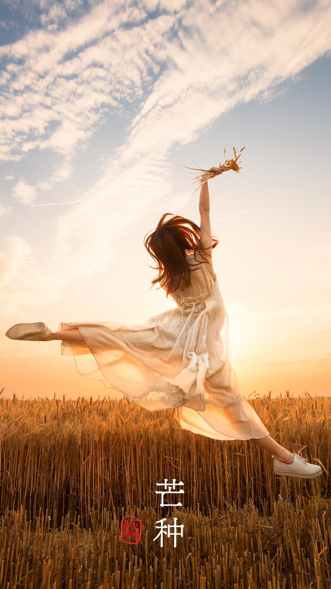 芒种丨愿你的忙,不慌不茫(愿你忙中有闲)