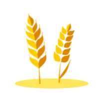 芒种丨愿你的忙,不慌不茫(愿你忙中有闲)