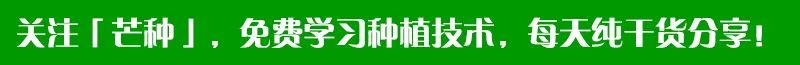 怎样杀灭芦苇草、牛筋草、白茅恶性杂草?一招见效(杀芦苇最好的除草剂是什么药)