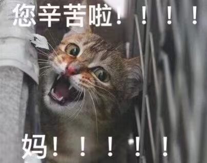 【母亲节表情包大全】夸妈妈 | 母亲辛苦了 | 妈妈我爱你(母亲节表情包搞笑抖音版)