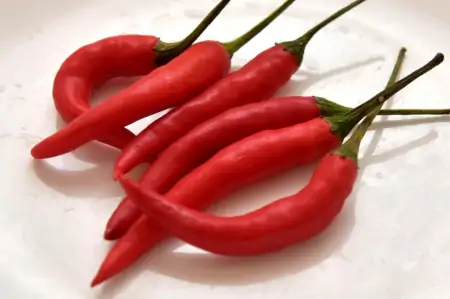 越来越多研究发现:吃辣竟有这么多好处,这几条你肯定不知道!(吃辣有没有好处和坏处)