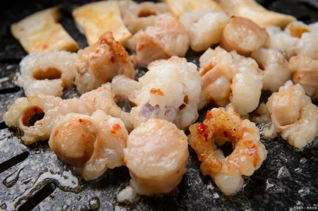 墨鱼的营养价值与功效(墨鱼的营养成分和功效与作用)