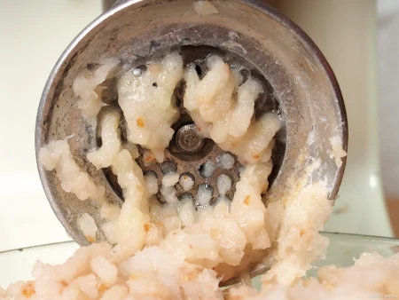 墨鱼的营养价值与功效(墨鱼的营养成分和功效与作用)