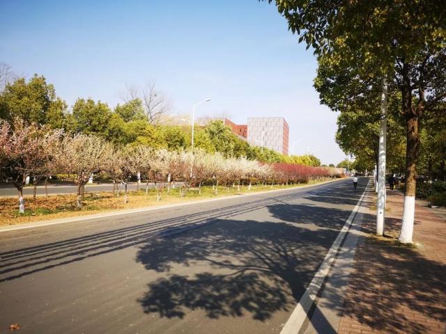 小蓝鲸们的专属315福利请签收!意想不到的惊喜这一日都属于你~-小蓝鲸美术培训学校怎么样