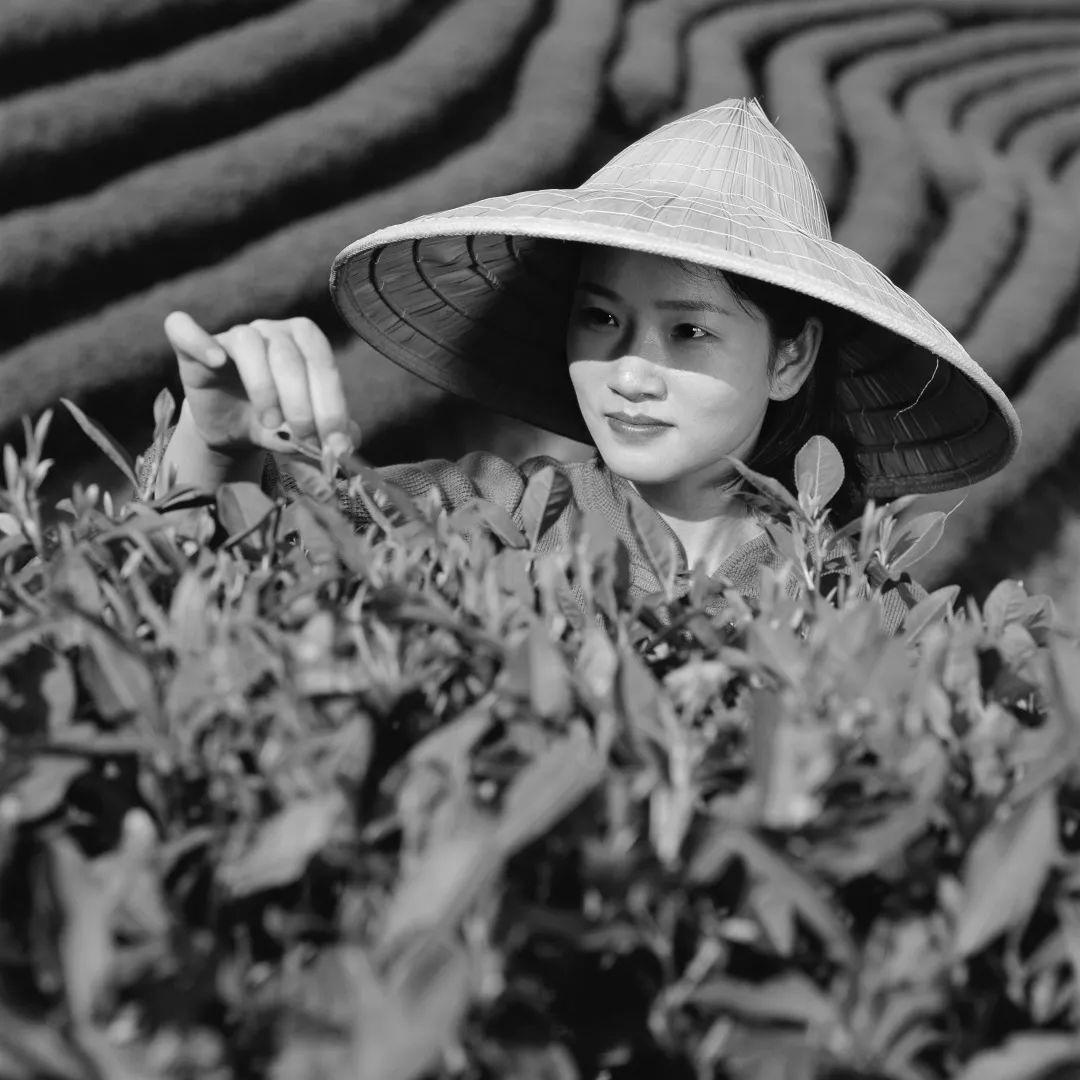 【中华艺术宫 | 展览】“在希望的田野上——馆藏逄小威中国农民肖像主题摄影作品展”明起对公众开放-我想看逄小威