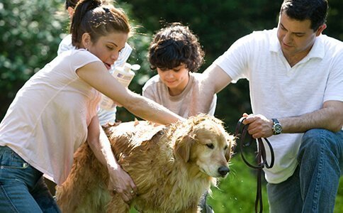 心自由教育好不好?心自由教育分享儿童励志的句子50句-郑州心自由教育集团怎样