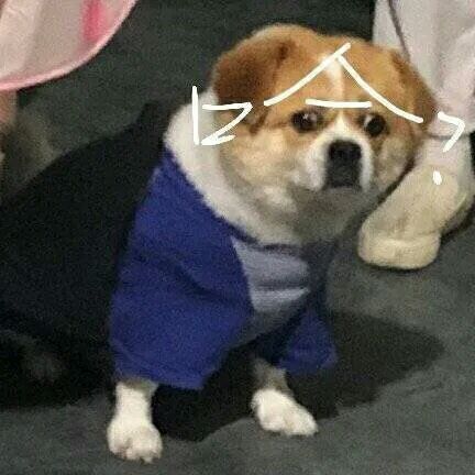 有没有简短但是极其好笑的笑话?(非常简短但非常好笑的笑话)