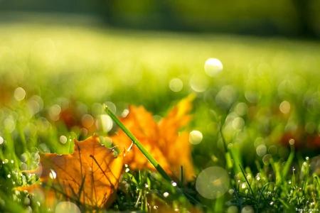 正值端午安康,巧遇中考落幕,祝学子们金榜题名,未来可期-中考遇端午说说