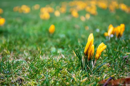 正值端午安康,巧遇中考落幕,祝学子们金榜题名,未来可期-中考遇端午说说
